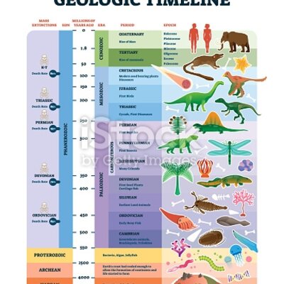 Timeline: Geokronoloogiline skaala Andre R2