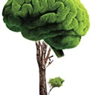 Timeline: Origen de las enfermedades