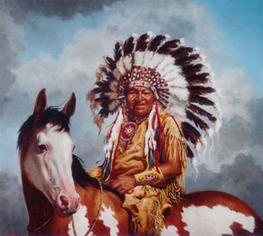 Nomadic Plains Indian Culture