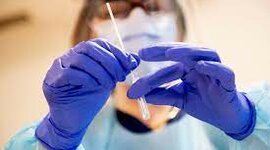 Timeline: Avances biológicos a través del tiempo