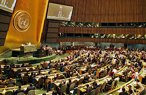 Asamblea de las Naciones Unidas,