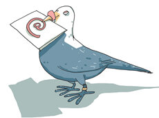 Criação da Rede Nacional de Pesquisa (uso de BBS, Bitnet e e-Mail).