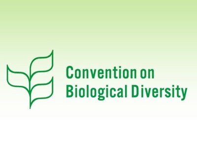 Entró en Vigor el Convenio Sobre Diversidad Biológica