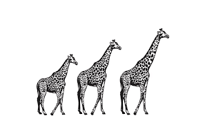 Jean Baptiste Lamarck