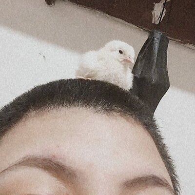 Timeline: Los sucesos mas importantes de mi vida