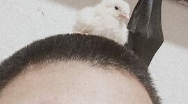 Timeline: Los sucesos mas importantes de mi vida