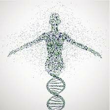 Human genome project.