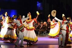 Diversidad de expresión cultural