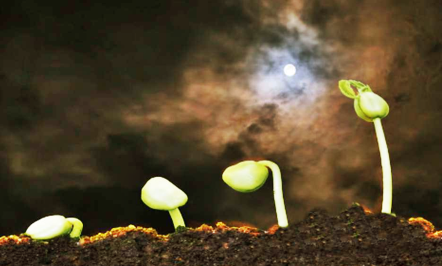 La teoría cósmica o sideral