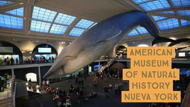 The American Museum of Natural History Solicitó Permiso de Acceso a Recursos Genéticos en Especies de Anfibios y Reptiles del Occidente Colombiano.