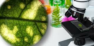 Otras nociones de causas