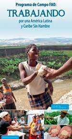 Surge el concepto de CpD