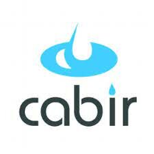 2004 | ¨Cabir¨ un gusano para celulares