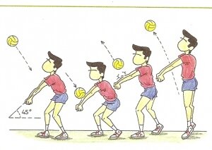 Nuevo movimiento introducido