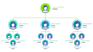 Organización de la Dirección General del Bachillerato