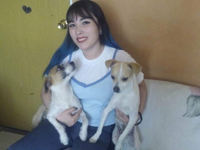 Adopte a Alex y Shaggy