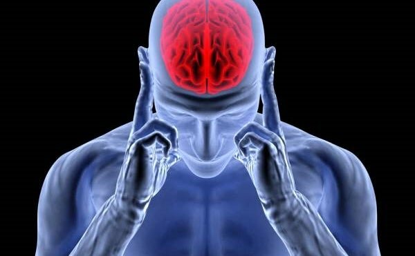 Trabajos sobre la acción química de las hormonas