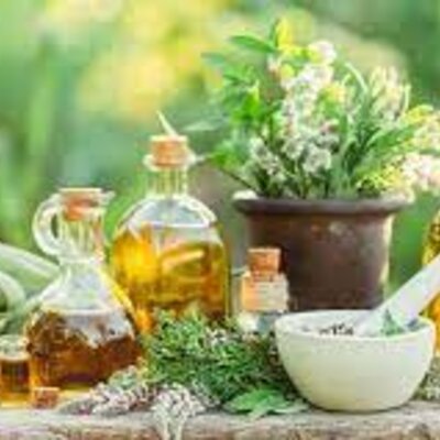 Timeline: Desarrollo Histórico de las Terapias Naturales