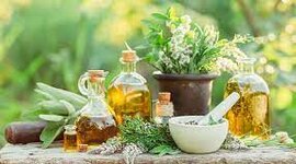 Timeline: Desarrollo Histórico de las Terapias Naturales