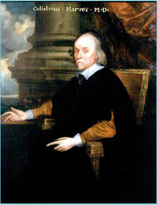 Se descubre que la sangre circula