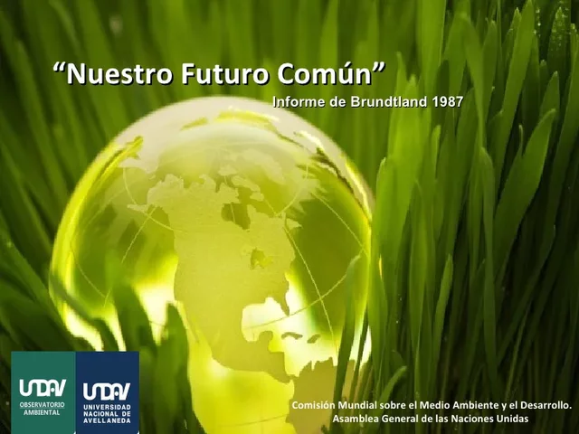 El concepto de desarrollo sustentable se hizo conocido mundialmente a partir del informe “Nuestro Futuro Común”