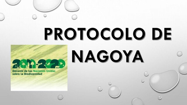 Se aprueba el Protocolo de Nagoya. en la Décima Reunión de la Conferencia de las Partes.