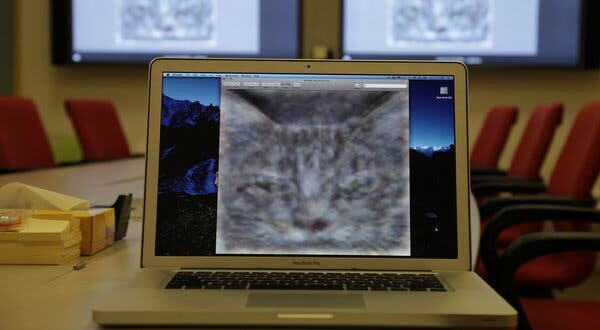 Red Neural de google logra reconocer gatos