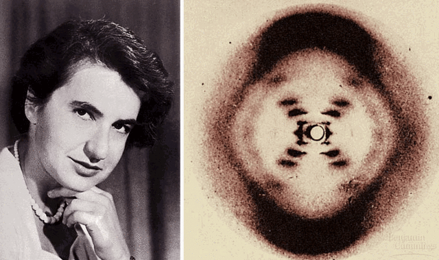Rosalind Franklin (1920-1958)