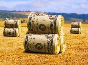 Subsidio gubernamental