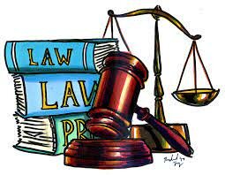 the General Law of Education (Law 115)