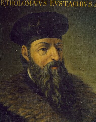 Bartolommeo Eustachio