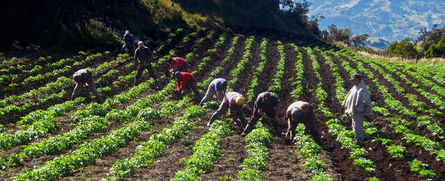Aumento en inclusión