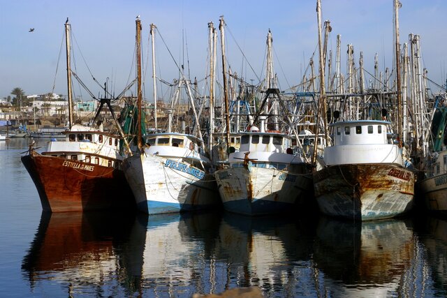 Ley General de Pesca y Acuacultura Sustentables