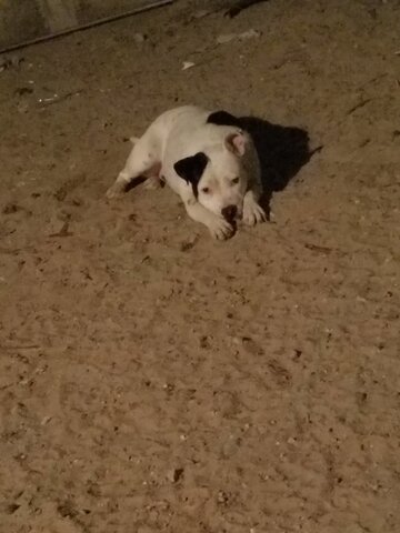 Primer año de mi kiara