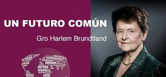 Informe de Brundtland