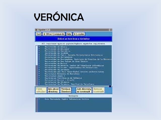 Primer buscador: Verónica