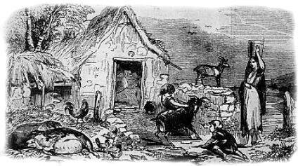 Great famine kills thousands