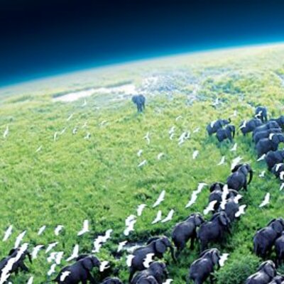 Timeline: Geokronoloogiline skaala Leho A