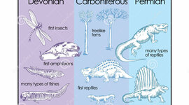 Timeline: Geokronoloogiline skaala Karoliina A