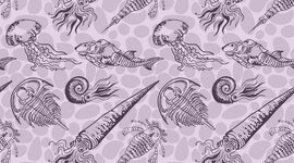 Timeline: Geokronoloogiline skaala Anabel ja Liisi A