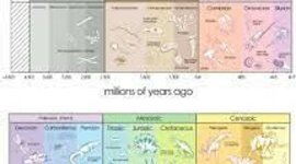 Timeline: Geokronoloogiline skaala Kalle A