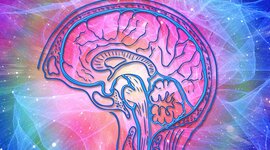 Timeline: Psicología Social