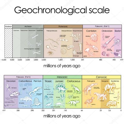 Timeline: Geokronoloogiline skaala Samuel K R1