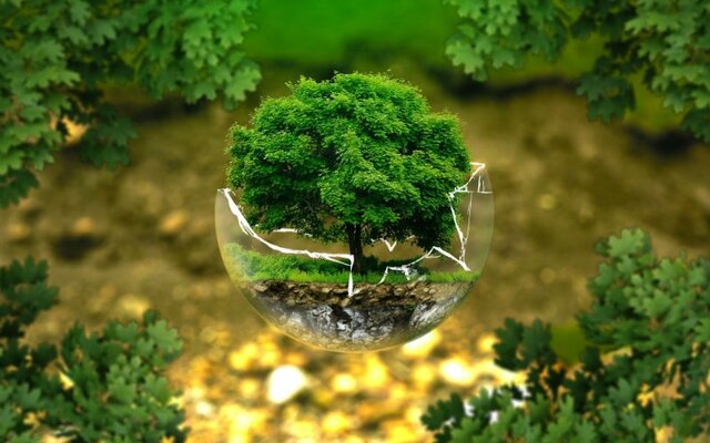 Declaración Universal sobre la Diversidad Cultural (UNESCO)