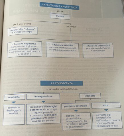 la psicologia aristotelica