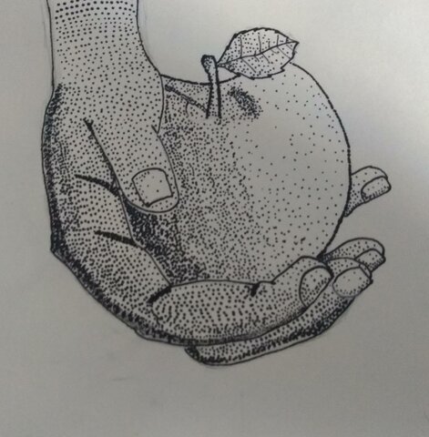 Ley 27.621 - Ley de Educación Ambiental