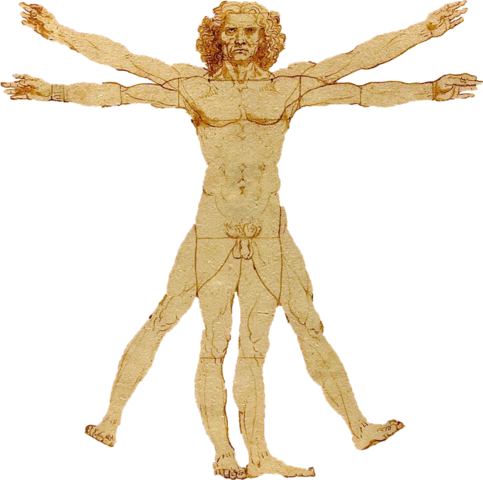 Actor–network theory ( ANT ) 1980's