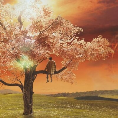 Timeline: World history