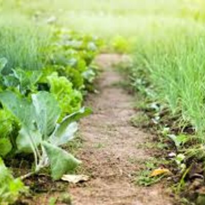 Timeline: Agricultural History Timeline