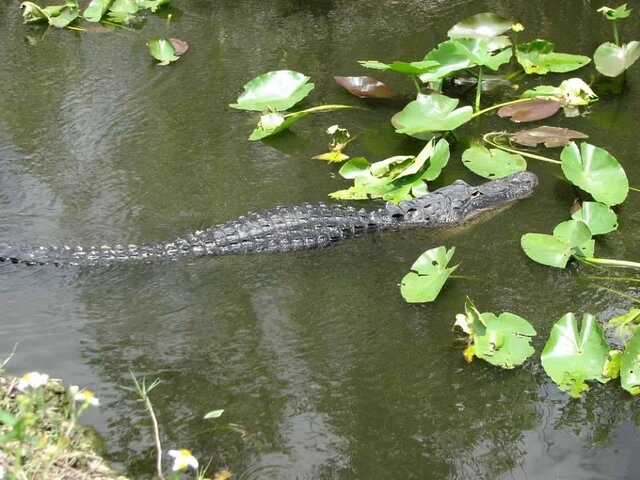 Everglades National Park